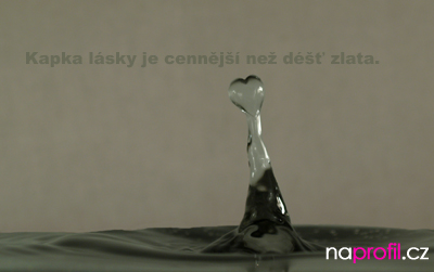 naprofil_00141.jpg